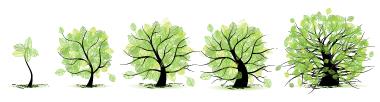 Tree Progression